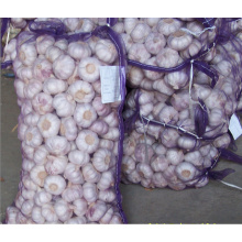 2018 China Knoblauch Preis / Knoblauch Import